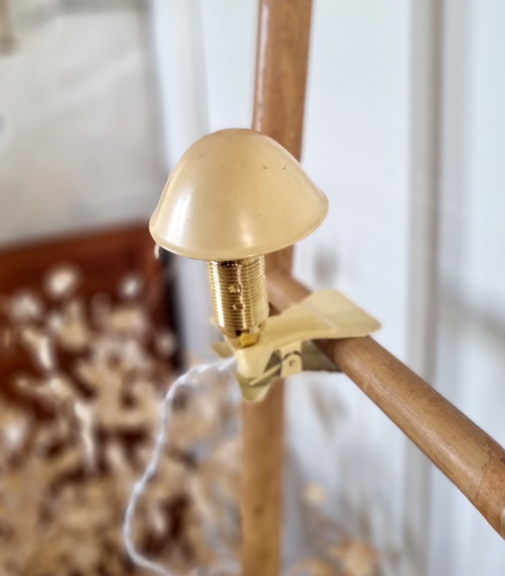 lampe-applique-pince-champignon-jaune-beurre-metal-luminaire-vintage-ancien-deco_bloomis